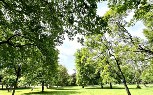 15., Winckelmannstraße – 2,5 Zimmer Eigentumswohnung mit Loggia vis á vis Auer-Welsbach-Park